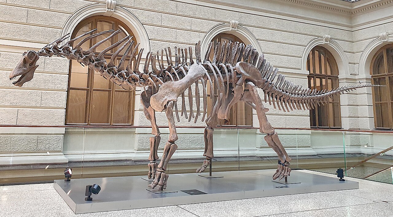 Amargasaurus cazaui reference