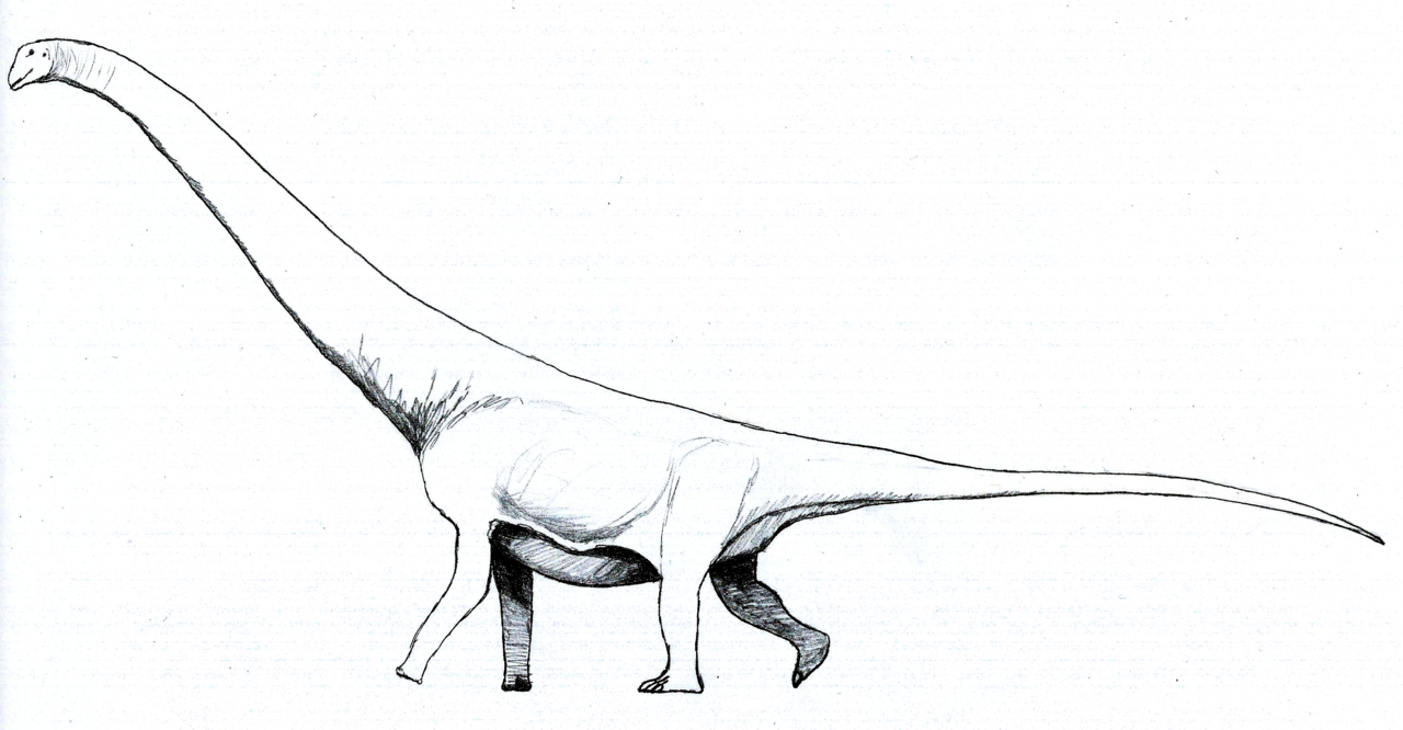 Andesaurus delgadoi reference