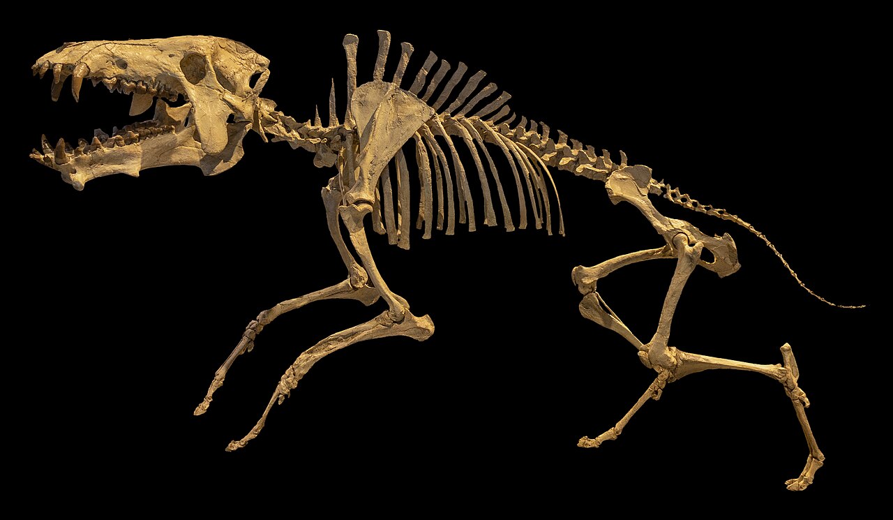 Archaeotherium mortoni reference