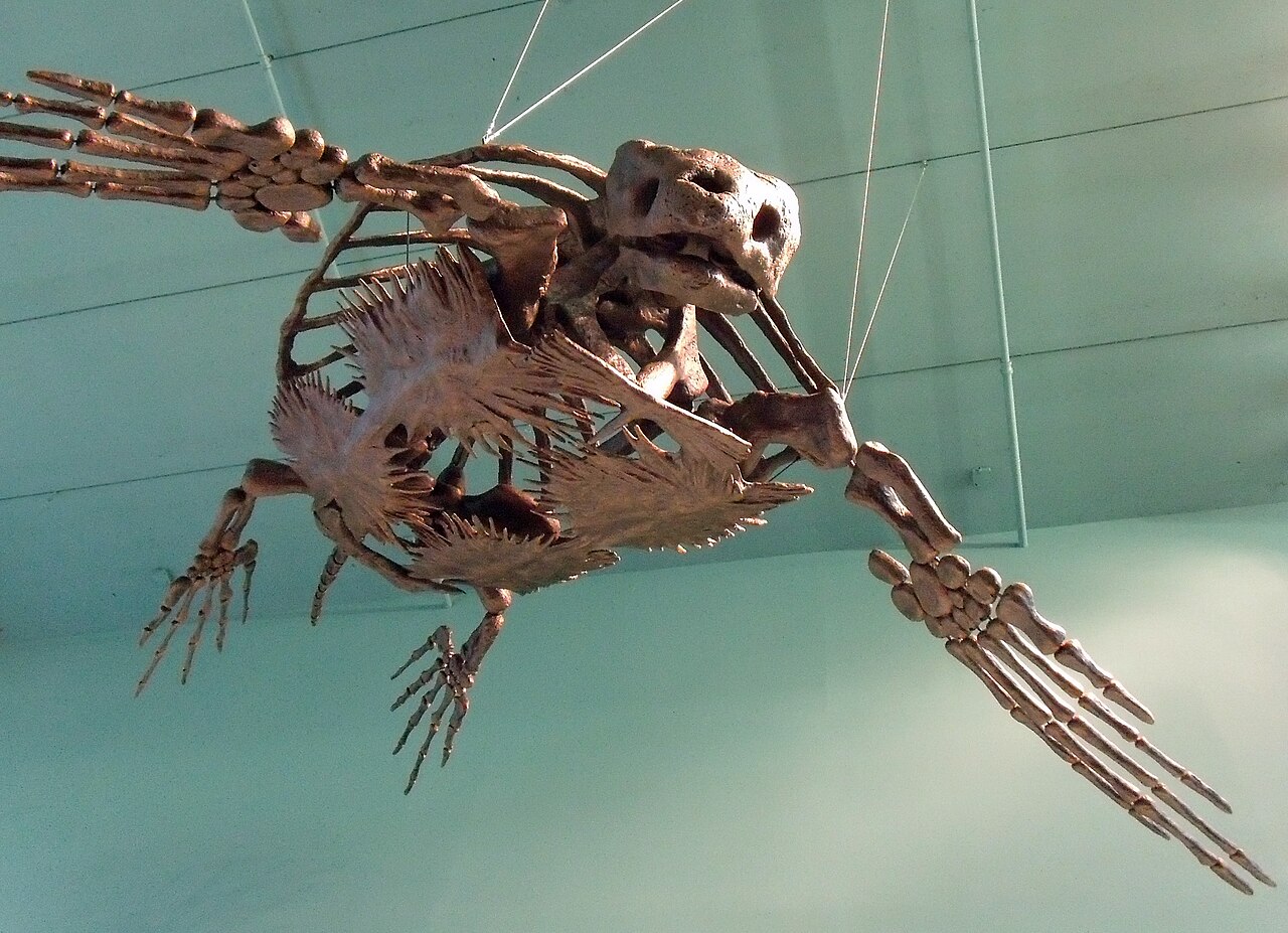 Archelon ischyros reference