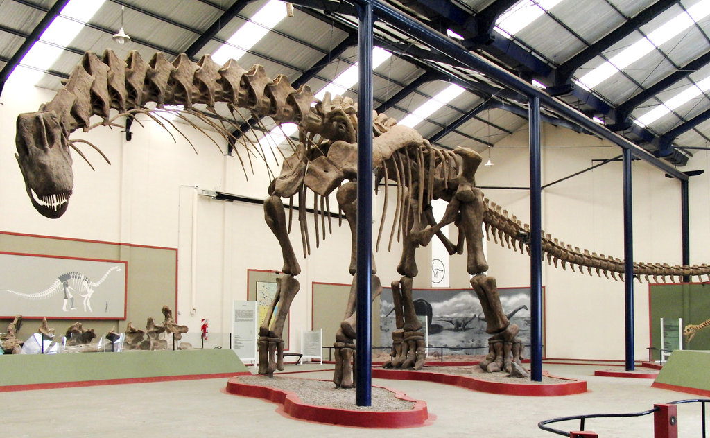 Argentinosaurus huinculensis reference