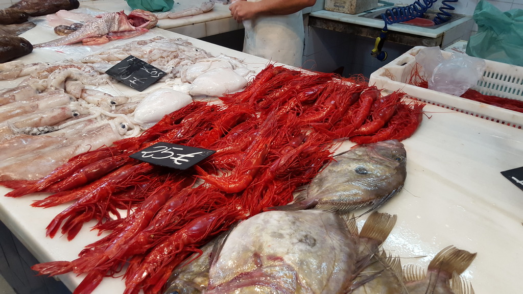 Scarlet Gamba Prawn reference