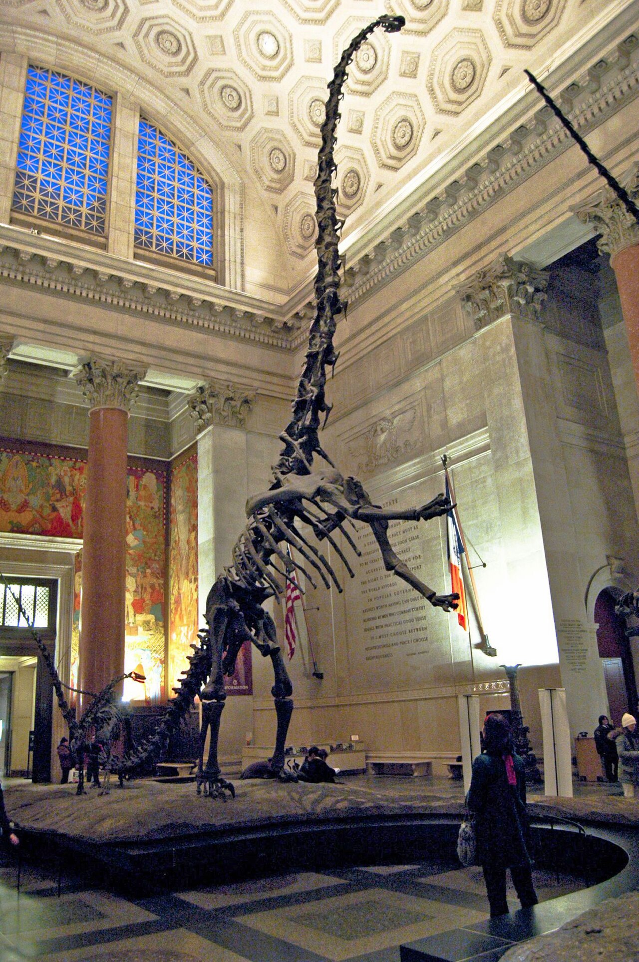 Barosaurus lentus reference