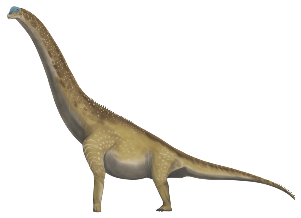 Brachiosaurus altithorax reference