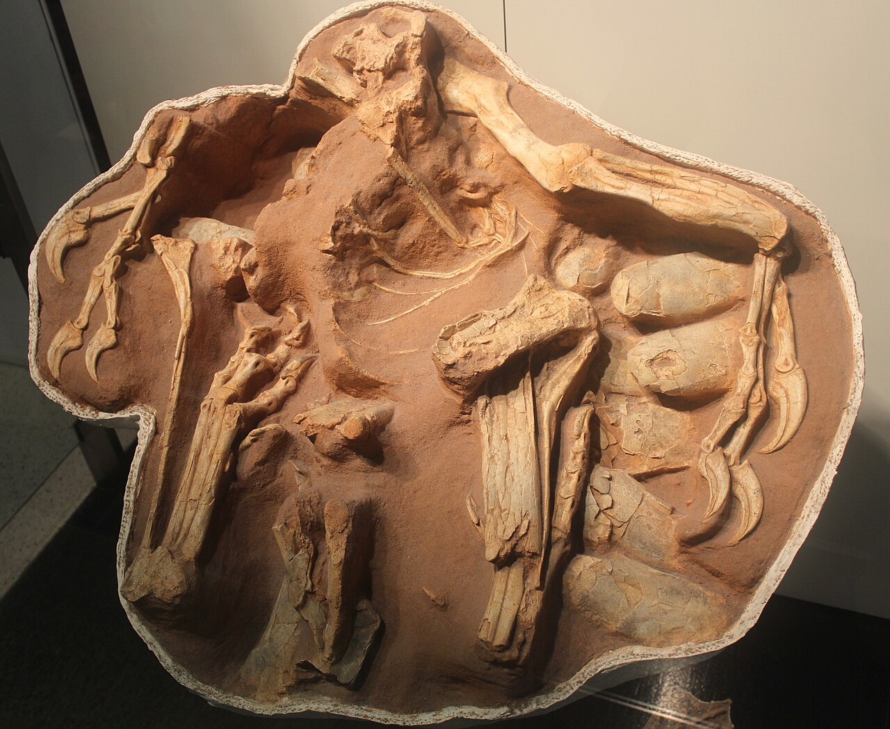 Citipati osmolskae reference