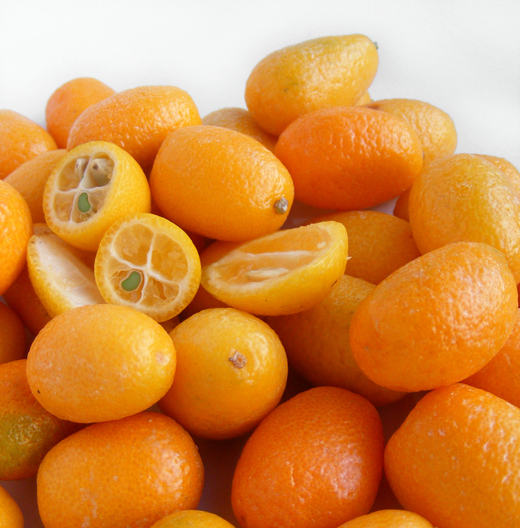 Kumquat reference