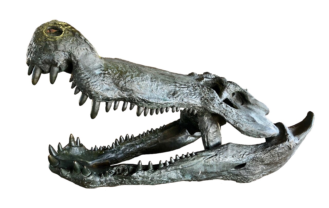 Deinosuchus hatcheri reference