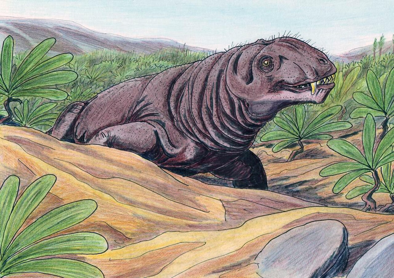 Deuterosaurus biarmicus reference