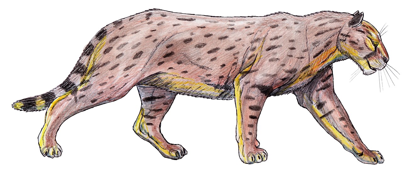 Dinofelis abeli reference