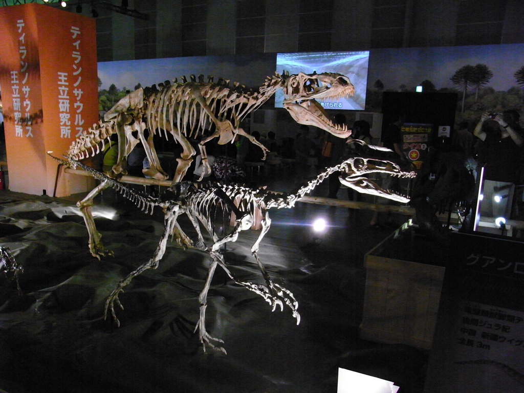 Guanlong wucaii reference