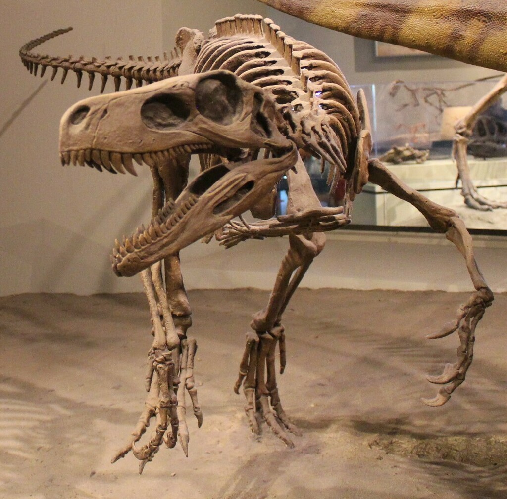 Herrerasaurus ischigualastensis reference