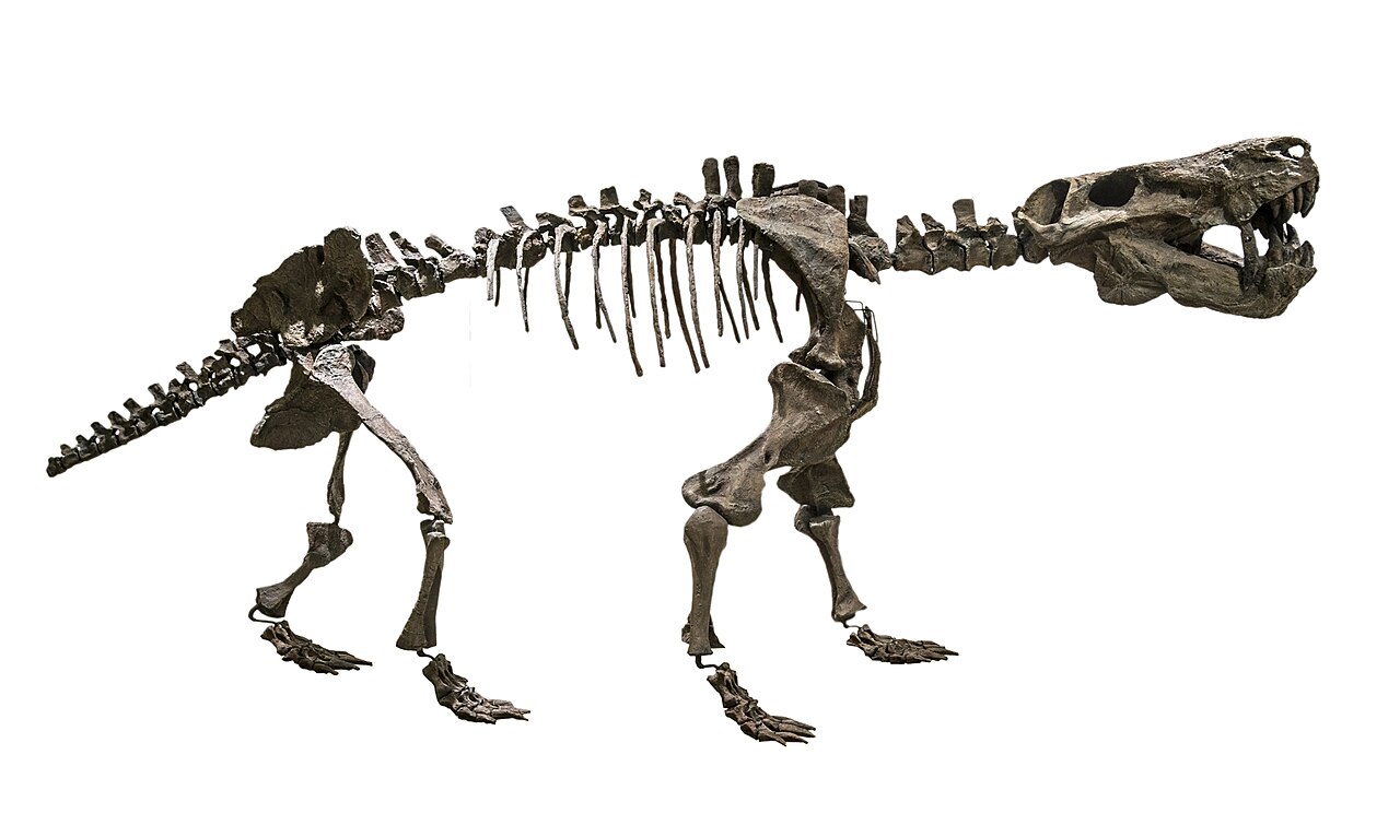 Inostrancevia alexandri reference