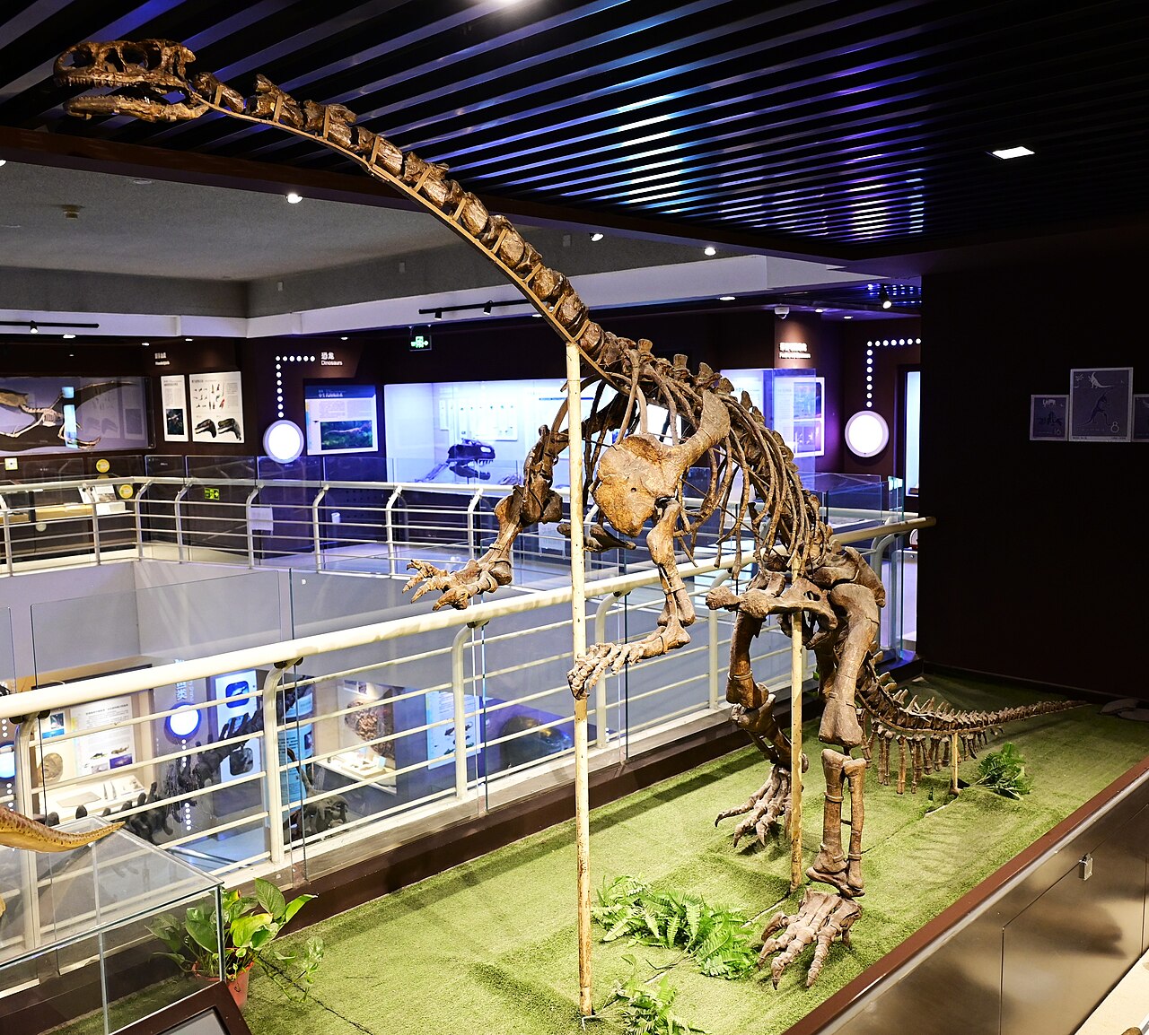Lufengosaurus huenei reference
