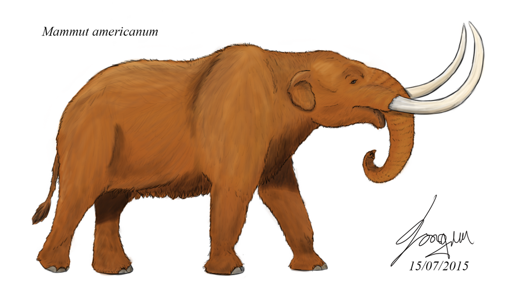 American Mastodon reference