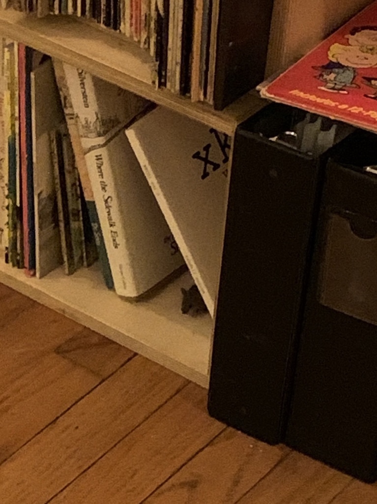 House Mouse reference