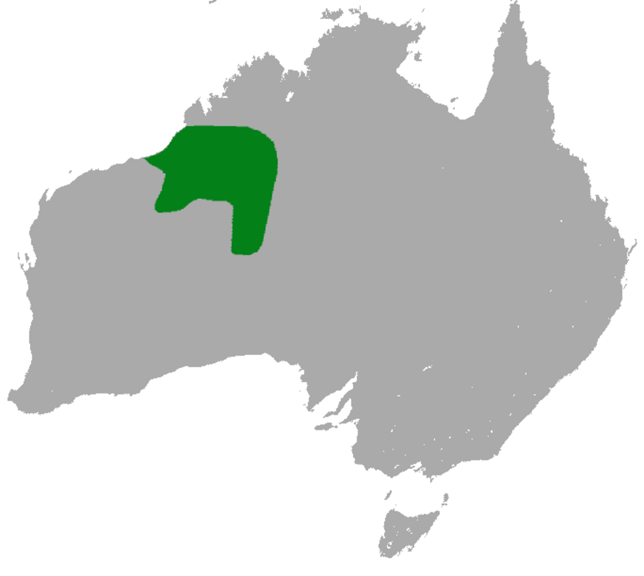 Northwestern Marsupial Mole reference