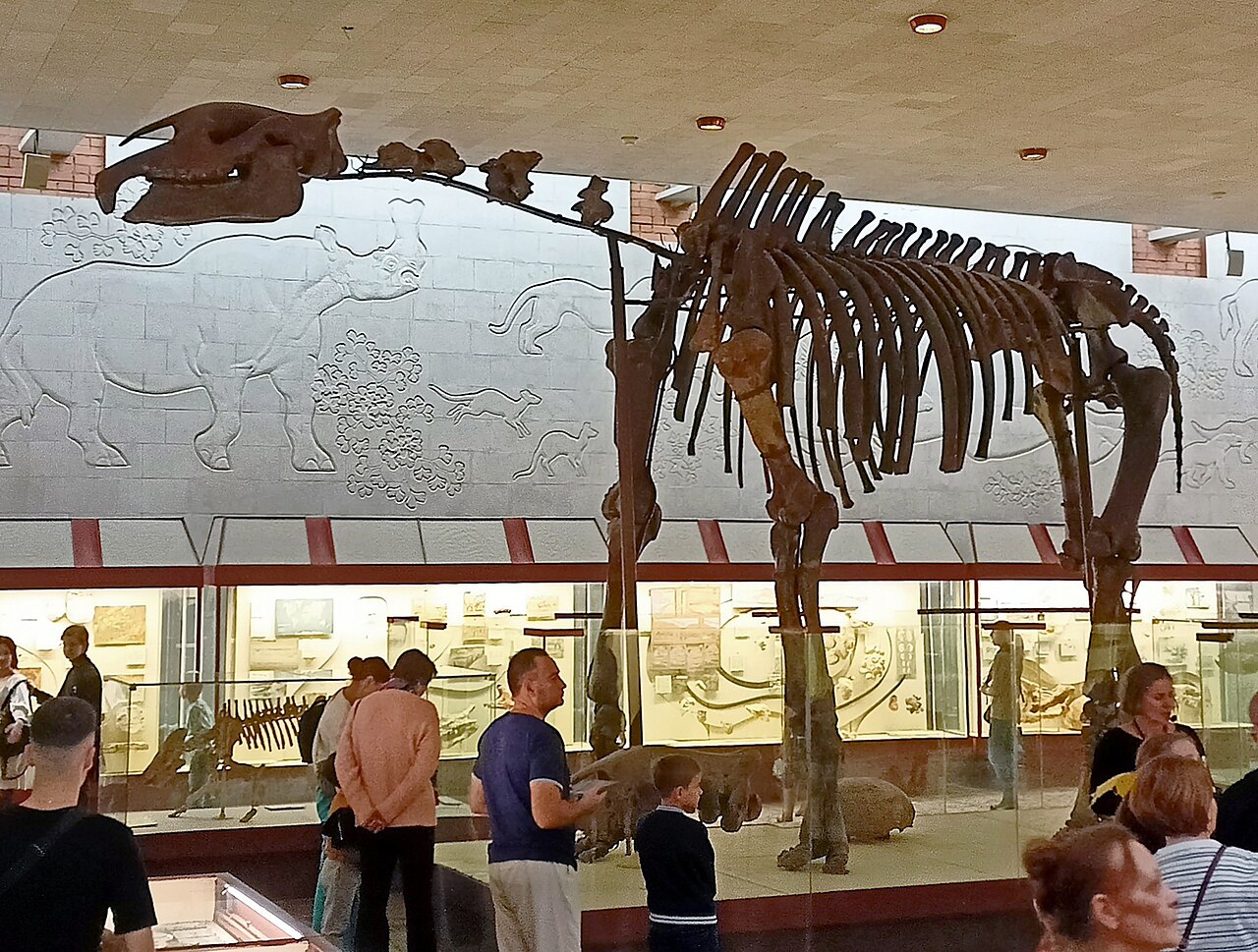 Paraceratherium linxiaense reference