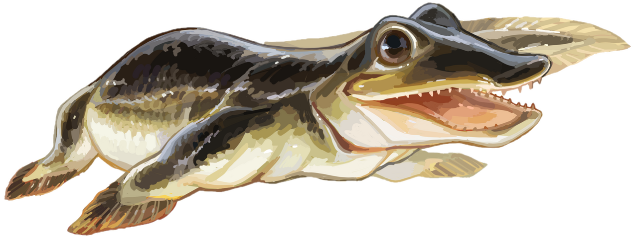 Parmastega aelidae reference