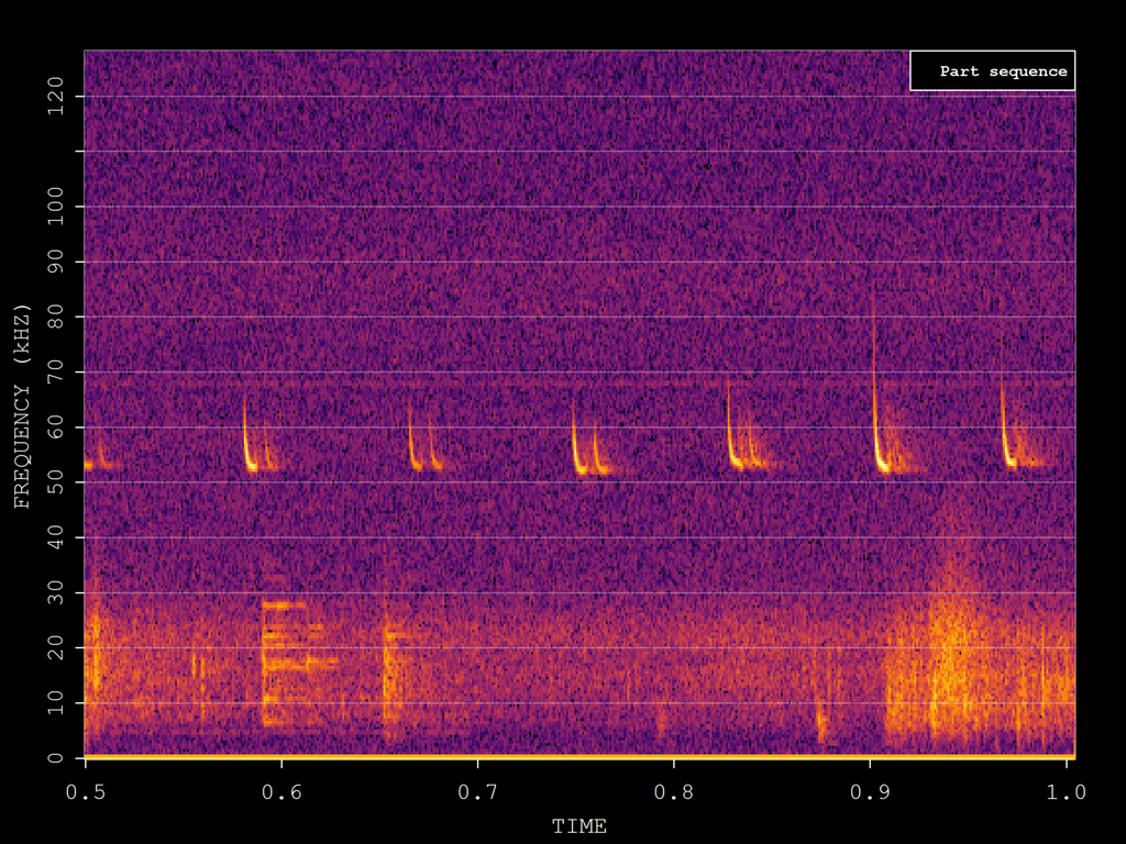 Soprano Pipistrelle reference