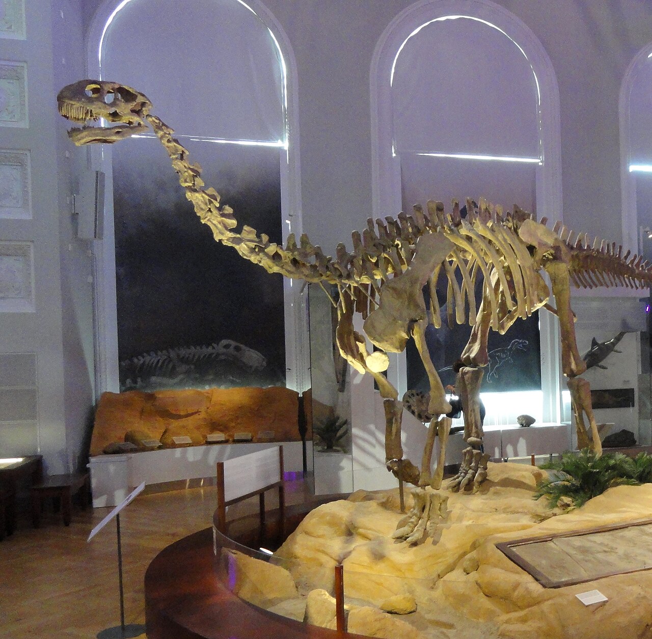 Shunosaurus lii reference