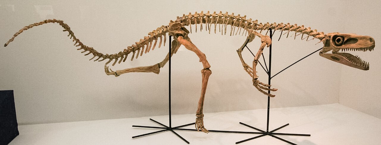 Staurikosaurus pricei reference