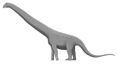 Aeolosaurus reference