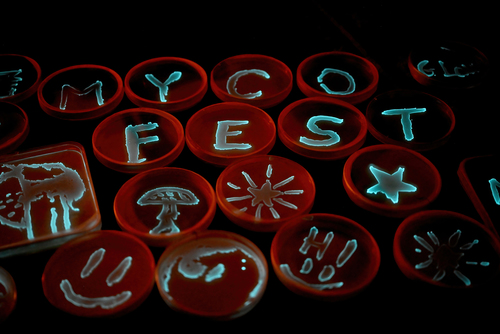 Bioluminescent Bacterium reference