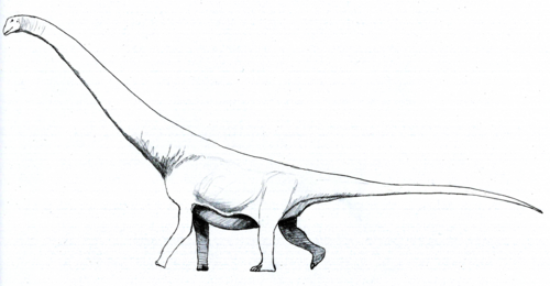 Andes Lizard reference