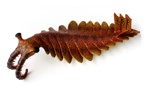 Anomalocaris reference