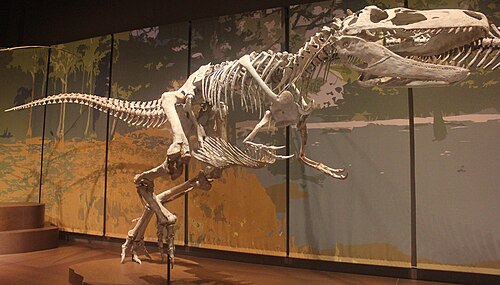 Appalachiosaur reference