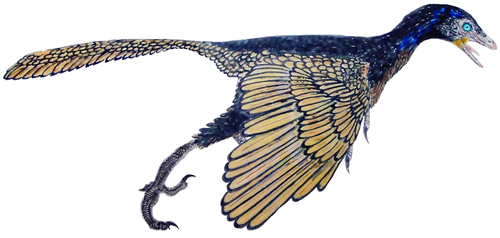 Archaeopteryx reference