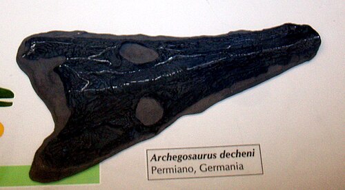 Dechen's Archegosaur reference