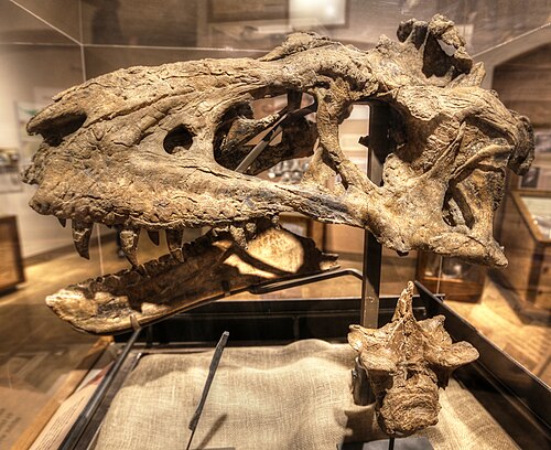 Bistahieversor reference