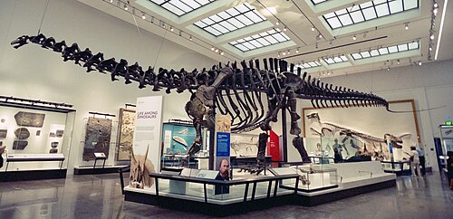 Brontosaurus reference