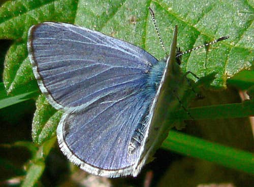 Spring Azure reference