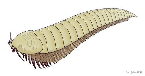 Chengjiangocaris reference