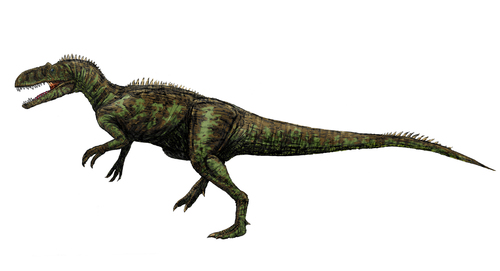 Chilantaisaurus reference