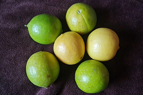 Key Lime reference