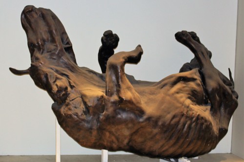 Woolly Rhinoceros reference