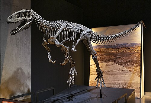 Condorraptor reference