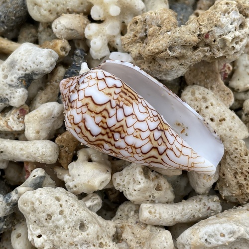 Textile Cone reference
