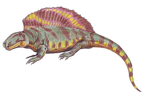 Ctenospondylus reference