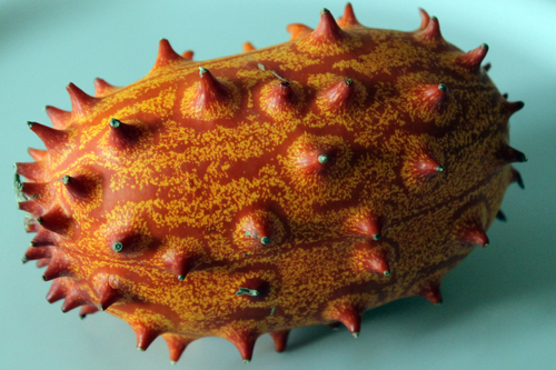 Horned Melon reference