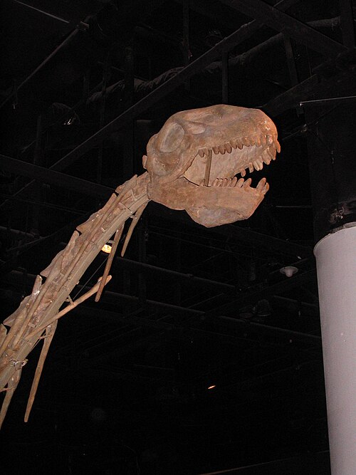 Datousaurus reference