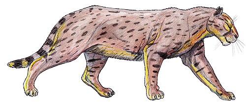 Barlow's False Saber-tooth reference