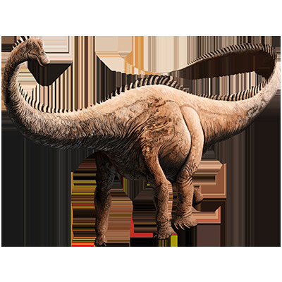 Diplodocus reference