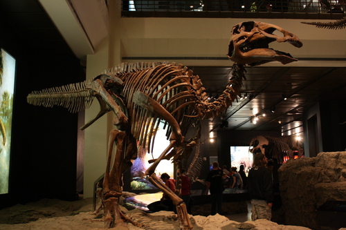 Edmontosaurus reference