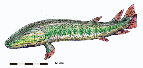 Eusthenodon reference