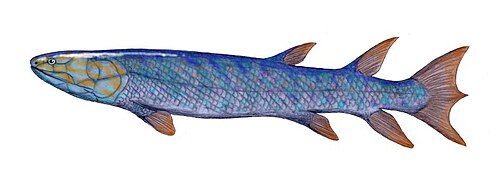 Eusthenopteron reference