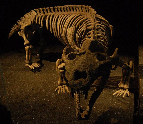 Exaeretodon reference